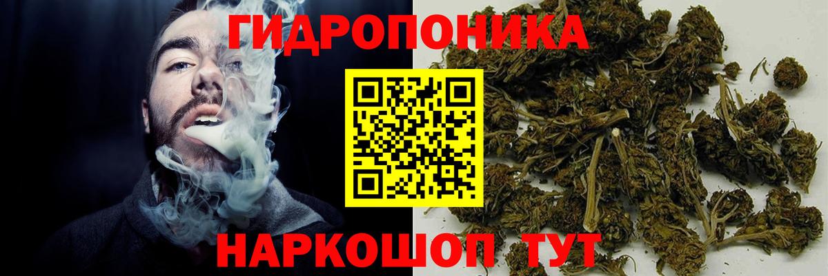 Шишки марихуана LSD WEED  Вход с VPN  Шишки марихуана индика  Конопля планчик  Ржев 